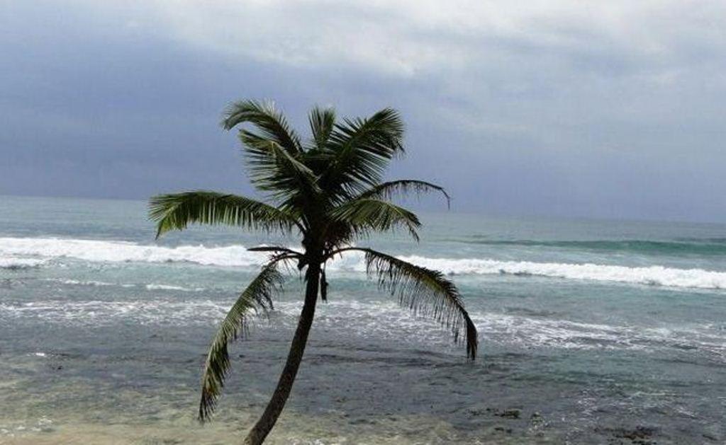 Kixi Beach Unawatuna Eksteriør billede